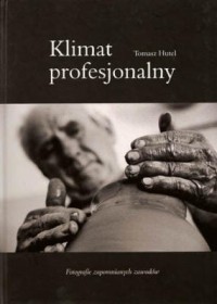 Klimat profesjonalny