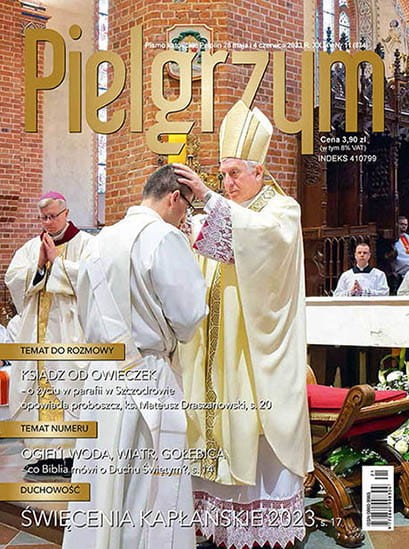 Pielgrzym nr 11.jpg