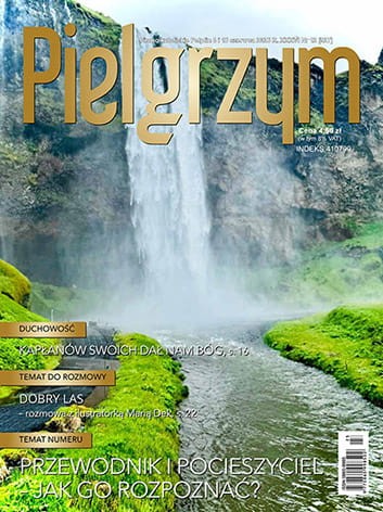 Pielgrzym nr 12 (3).jpg