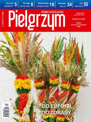 Pielgrzym nr 7.jpg